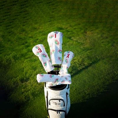 Hur organiserar man golfbagklubbar?